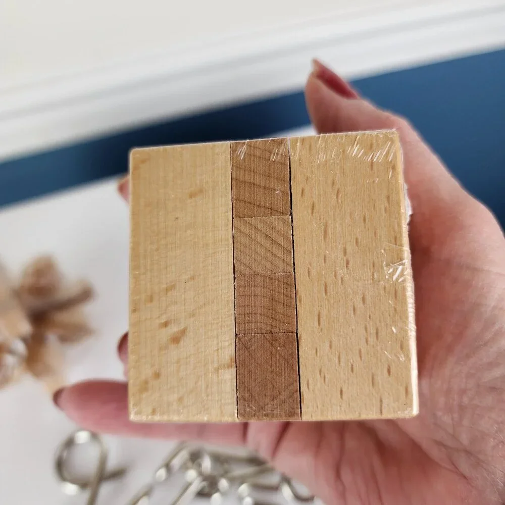 Lesong Wood and Metal Puzzle Set NWT